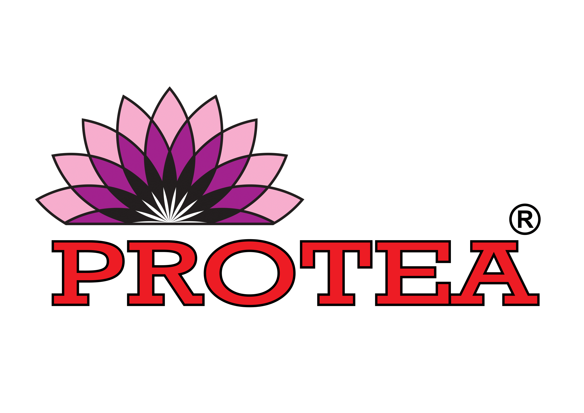 Logo firmy PROTEA S. A.