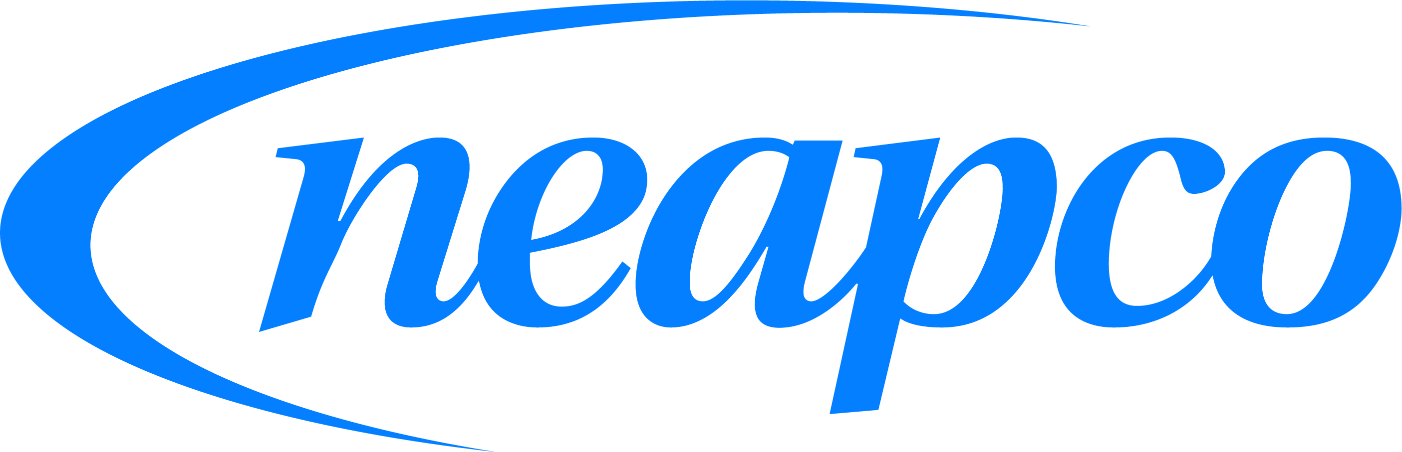 Logo firmy Neapco Europe Sp. z o.o.