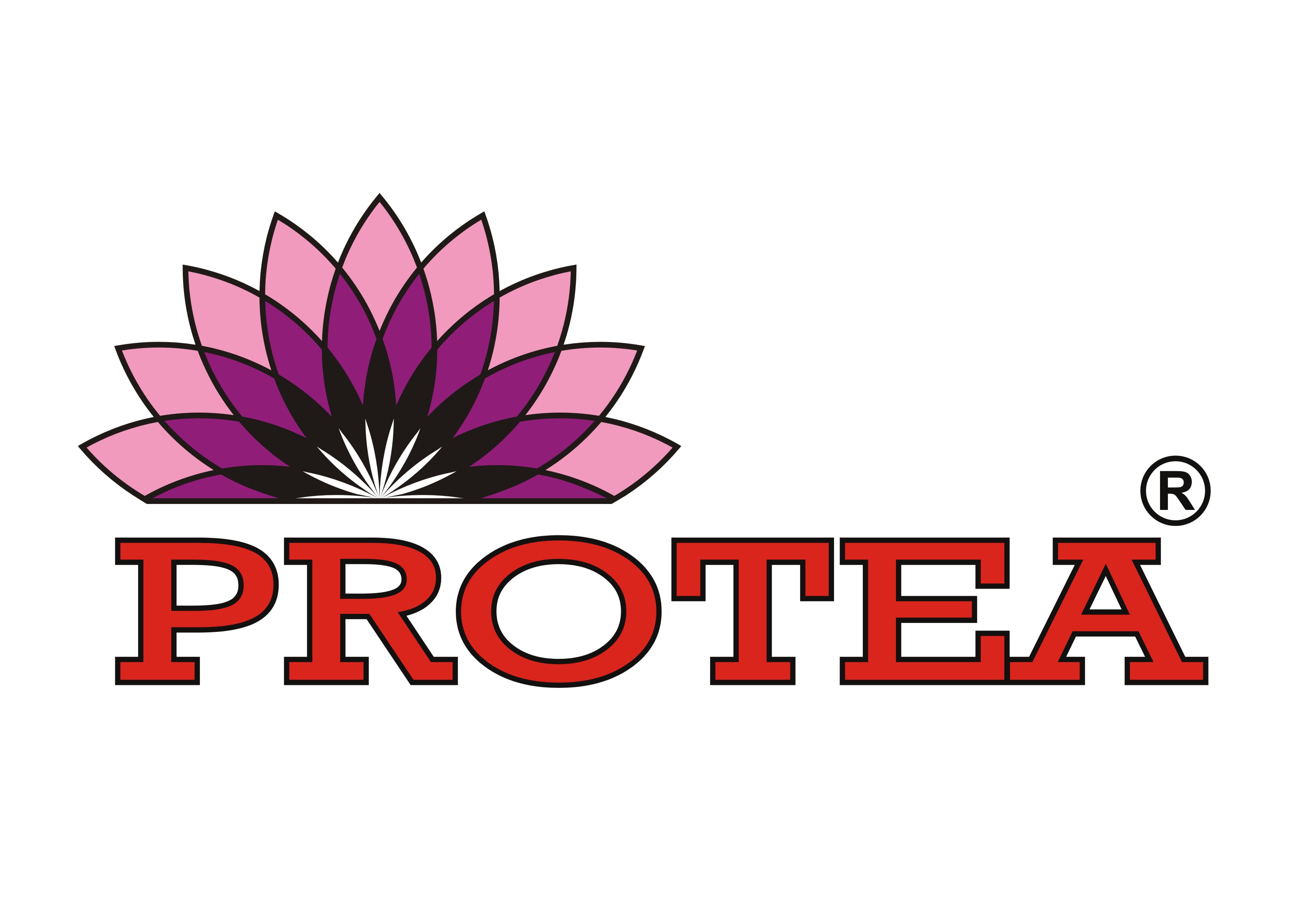 Logo firmy Protea S. A.